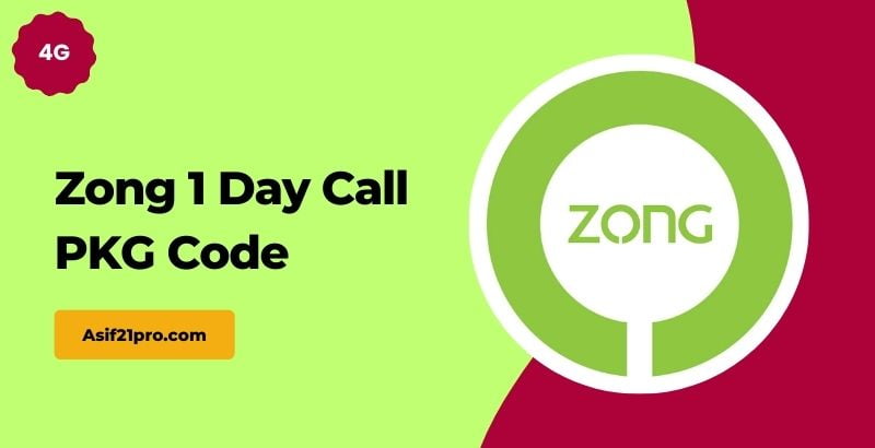 Zong 1 Day Call PKG Code